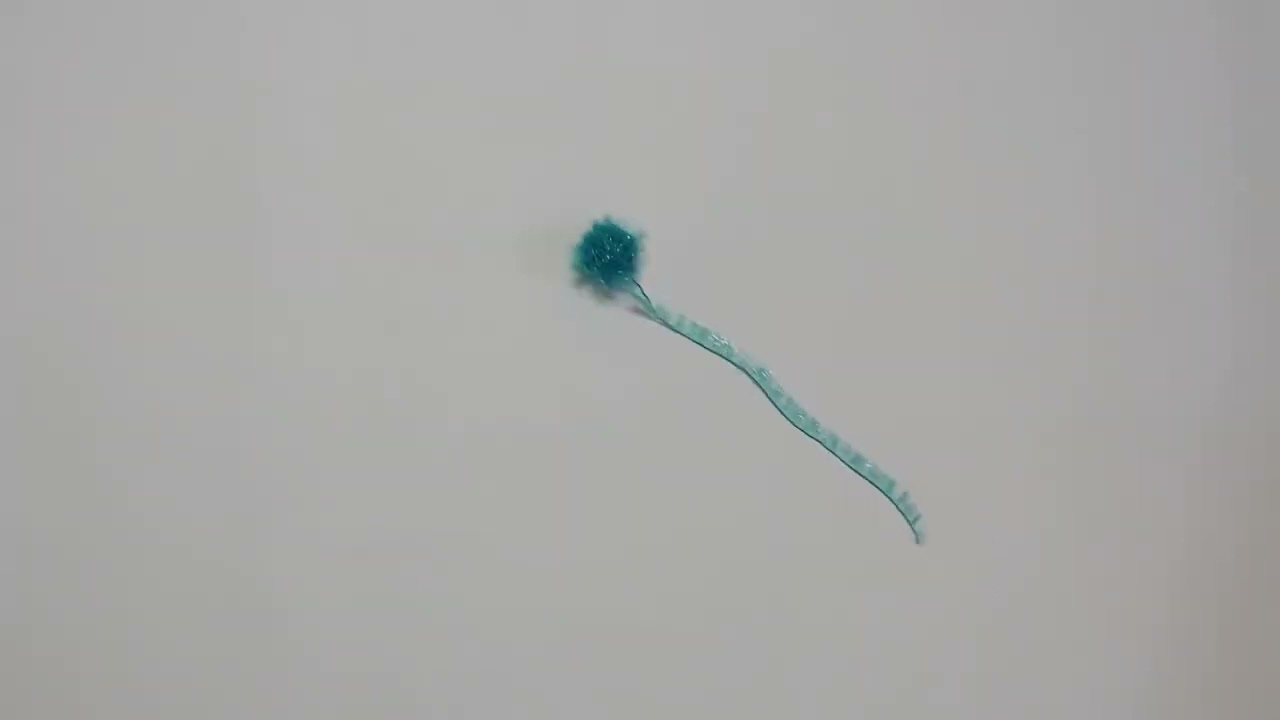 랜덤1 xxk009