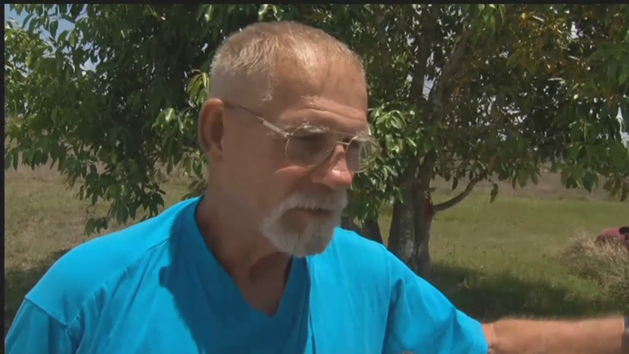 Golden Gate Estates backyard shooting ranges could possibly get regulated