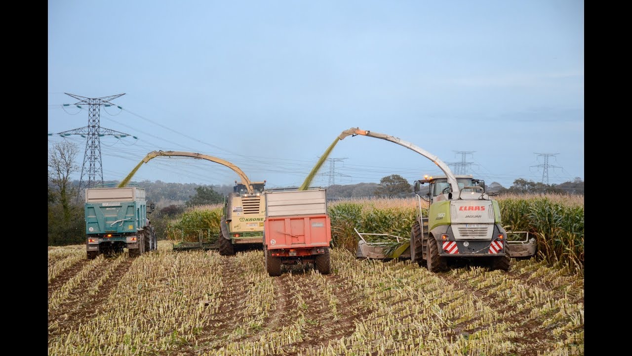 Ensilage ma&iuml;s XL - 22 Rangs - Krone & Claas .