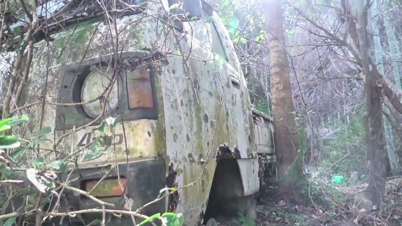 春を探しに行くとそこには廃車　ホンダ