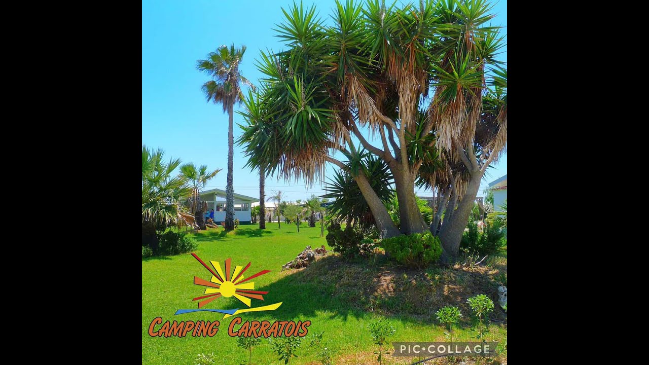 Camping Carratois