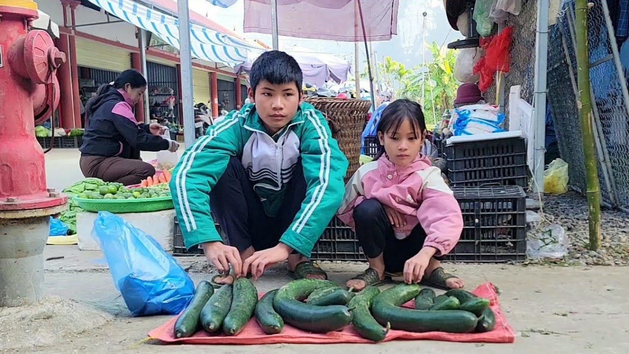 Poor boys and girls harvest zucchini and sell it at the market to cook