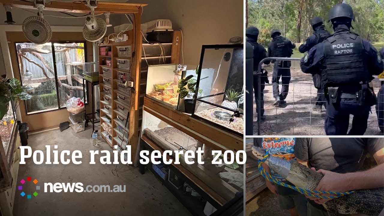 Snakes drugs and a crocodile seized as police raid rural property