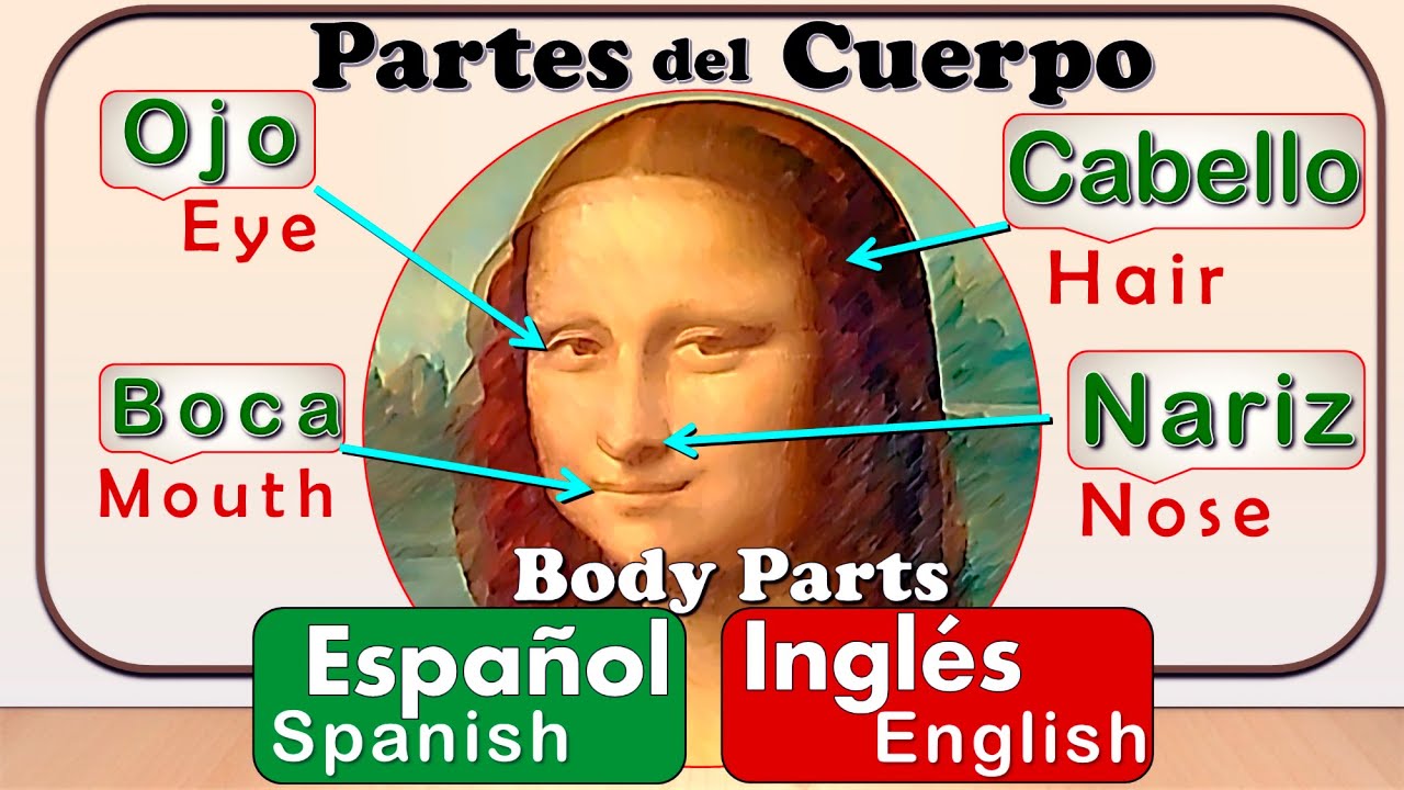 Body Parts in Spanish | parts of the body in Spanish | Spanish words | free Spanish | free Spanish