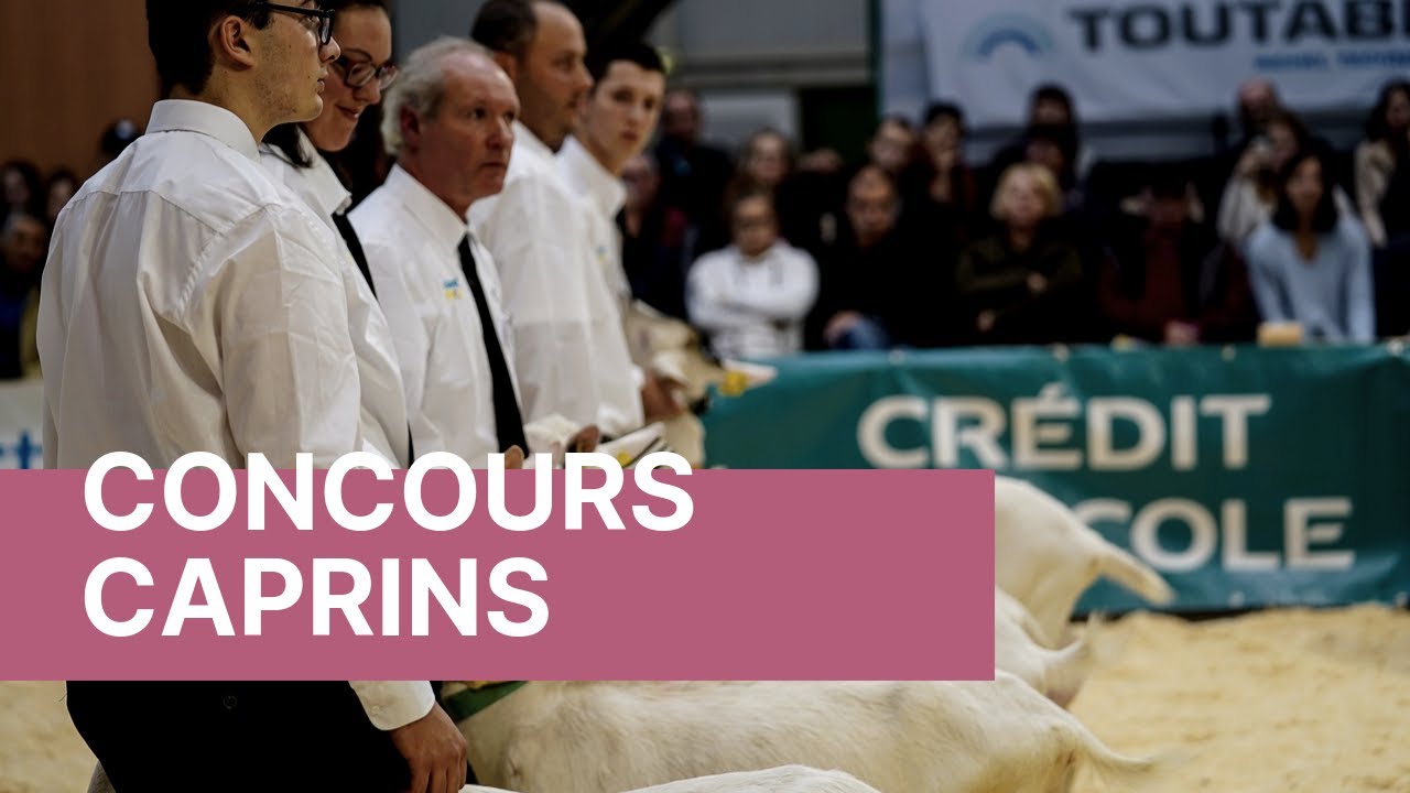 #CAPRINOV Concours caprins et challenge inter-lycées