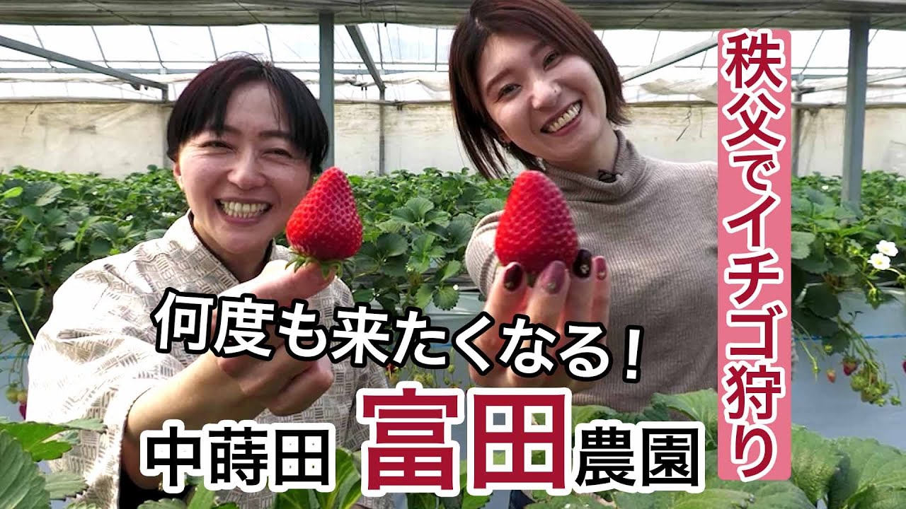 『あまりん』あり！秩父でいちご狩り「中蒔田 富田農園」時間無制限