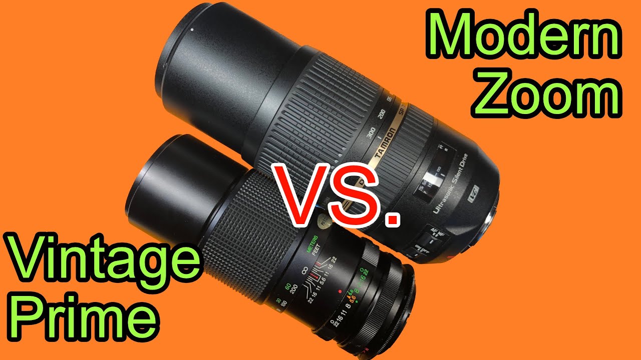 Vintage Prime vs. Modern Zoom lens. (Vivitar/Tamron 300mm).