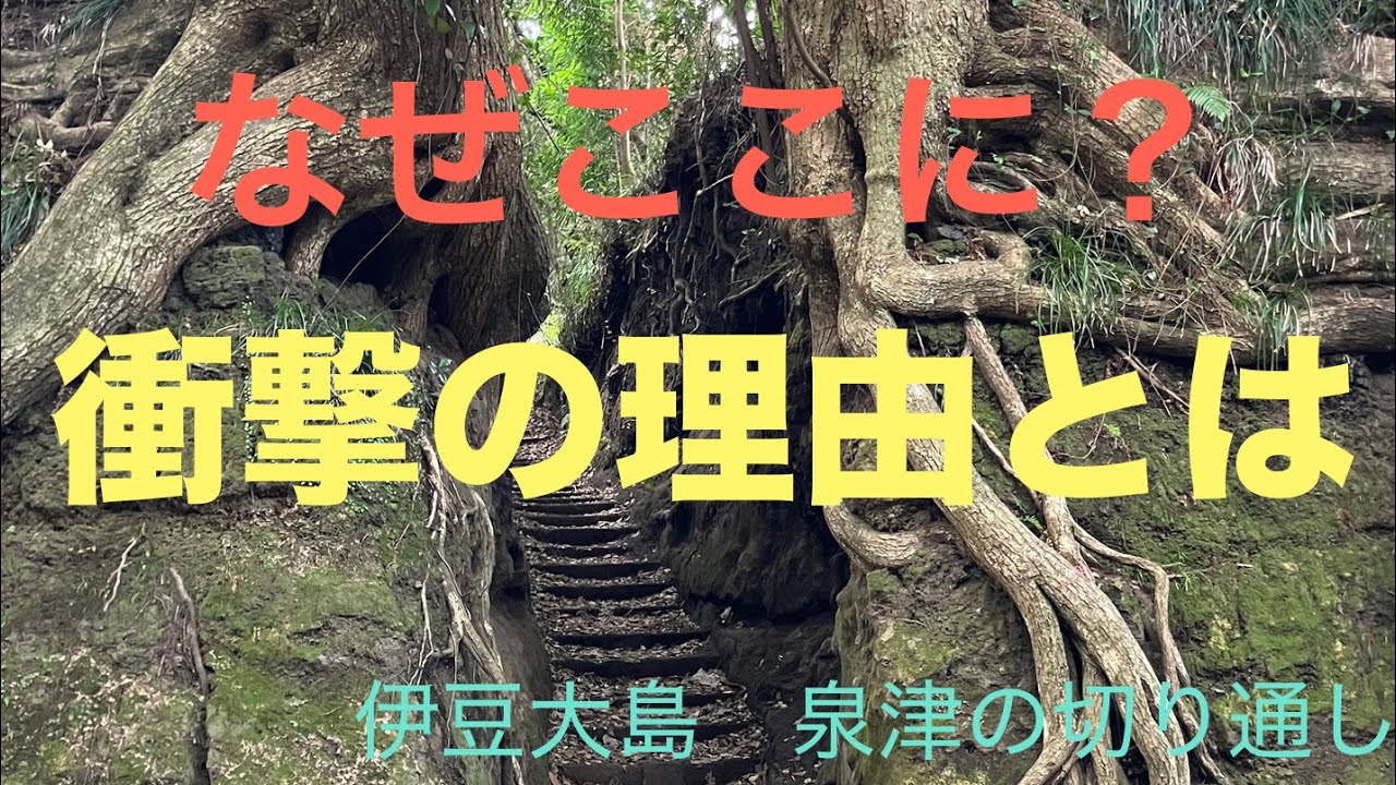 [伊豆大島]なぜここに？泉津の切り通しができた理由が意外すぎた！