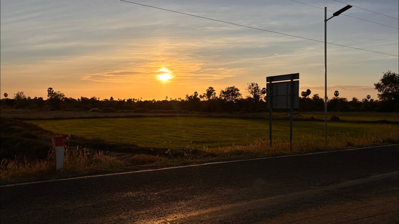 នៅវាលស្រែ🌾☺🌅