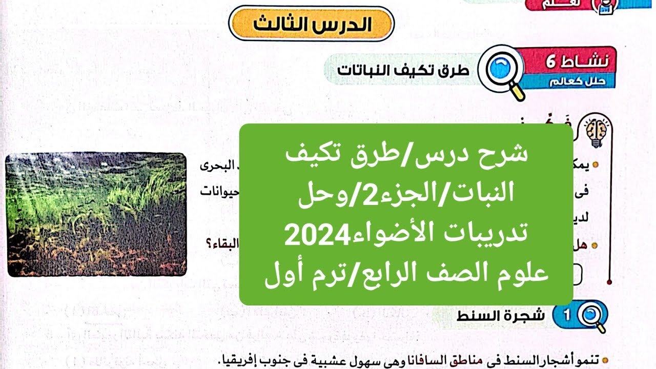 شرح درس(طرق تكيف النبات)الجزء2/وحل تدريبات الأضواء2024/الصف الرابع/ترم أول