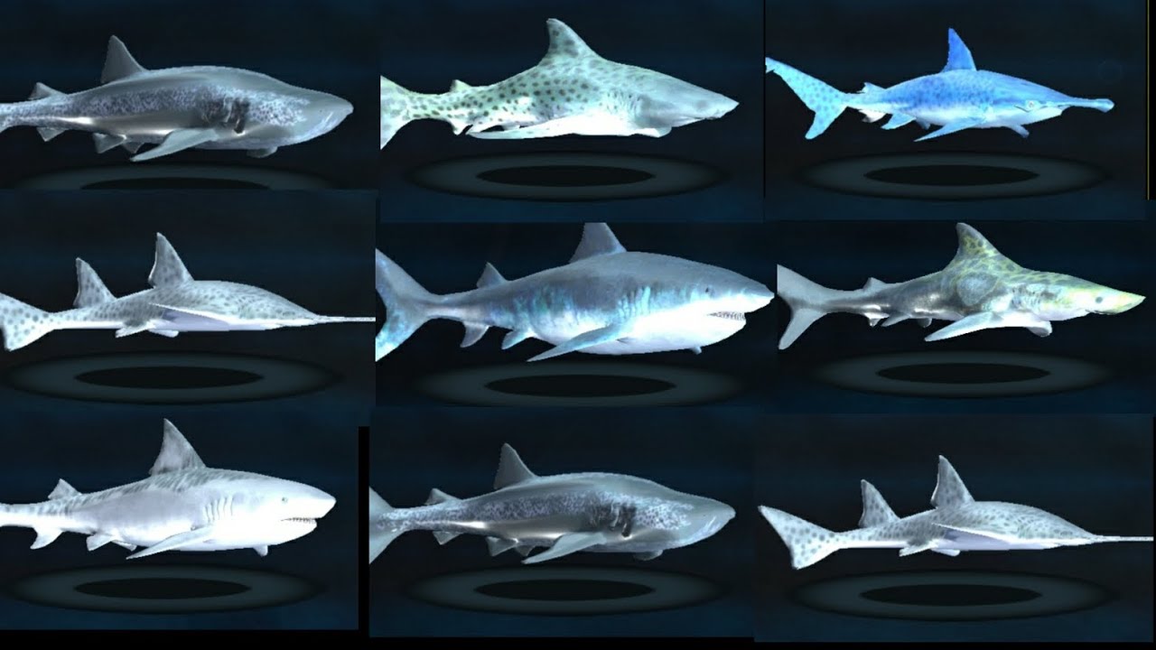 All skins sharks in ultimate shark simulator 1 #ultimatesharksimulator1 #allskin