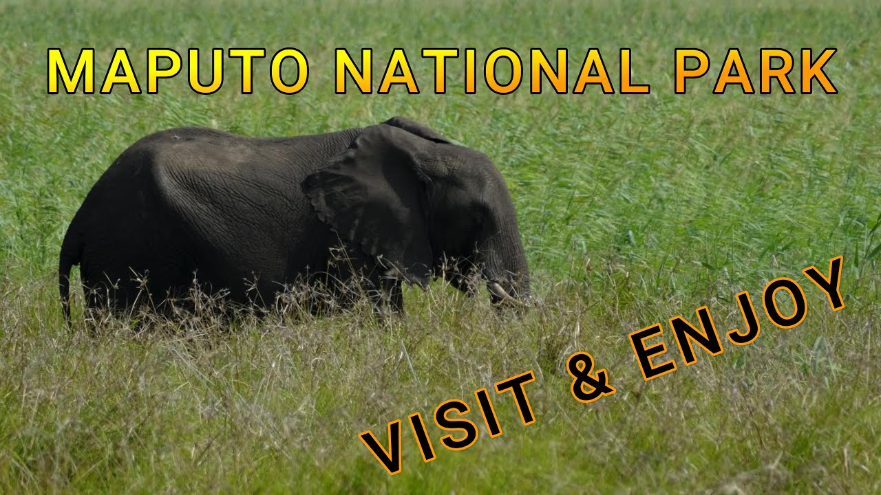Parque Nacional de Maputo  - Getting Better every day