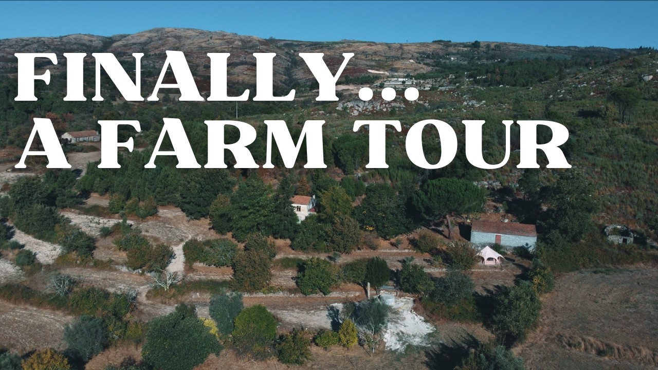 #9   Full Tour of My Abandoned Farm in Portugal | 6 Months Later