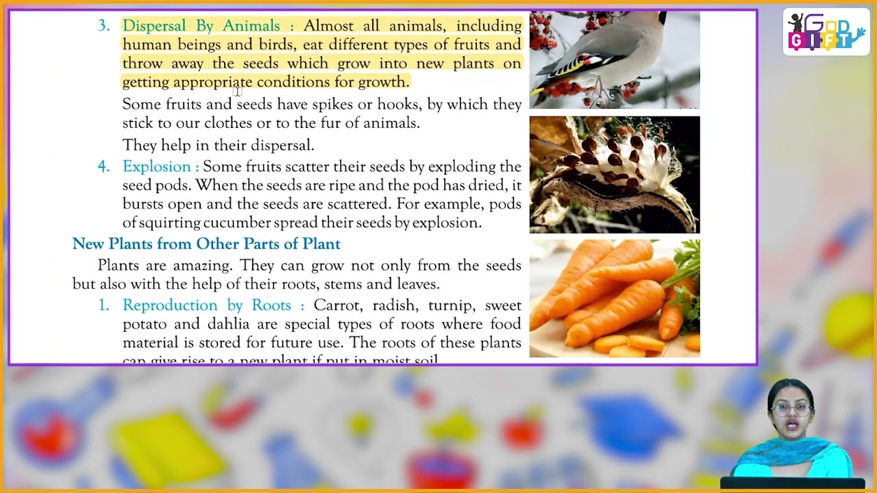 Ch 1 | Classico Books Publishing | Science | Class 05 | Reproduction in Plants | For Children