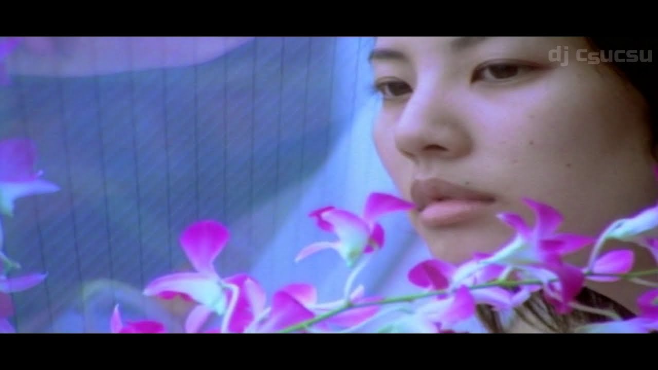 Watergate - Heart of Asia (DJ Quicksilver's Radio Edit) (Official Music Video) (1999) (HQ)
