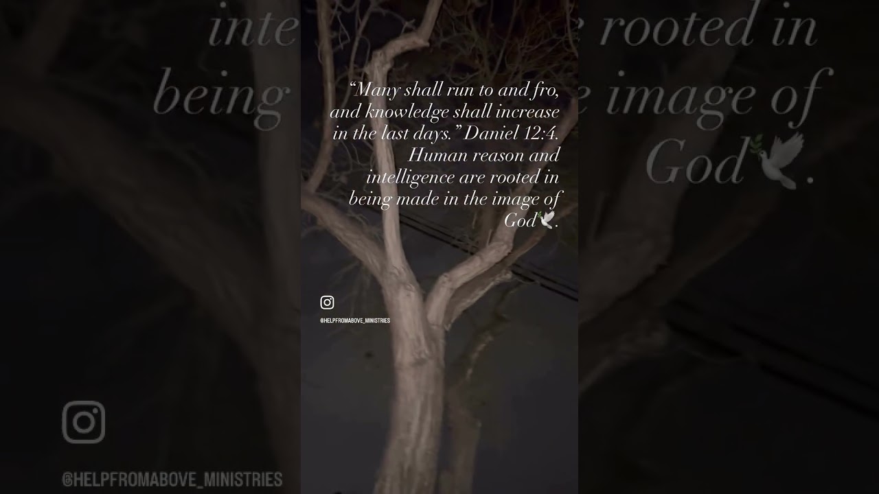 Human intelligence is not a random by product of nature but a reflection of the Creators own nature