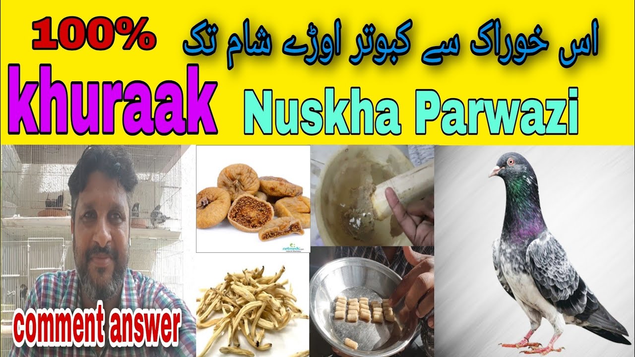 Nuskha🎁Khuraak Kabootar Ki Parwaz Ko barhay|