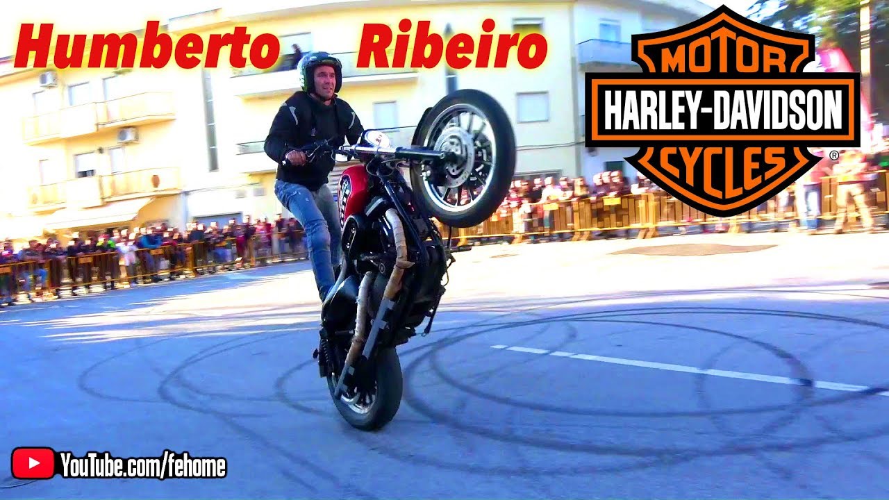🏍️ Humberto Ribeiro Stunt Bike Show - Dog's Land - Harley Davidson (parte3)