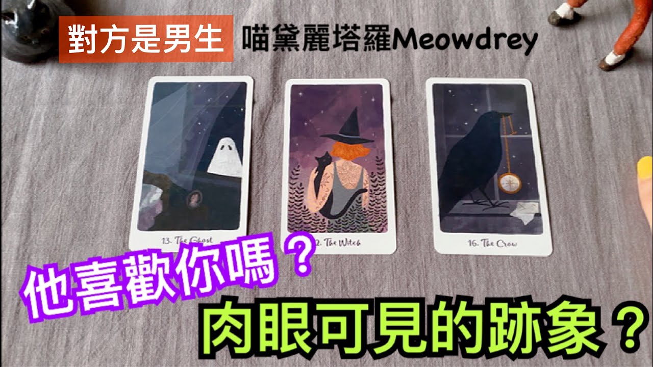 🐈‍⬛🎃【對方男生】他喜歡你嗎❓有肉眼可見的跡象嗎🤣❓｜喵黛麗塔羅Meowdrey