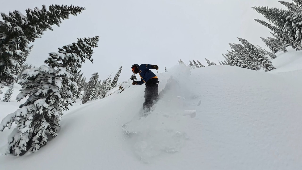 DEEP POWDER at Steamboat on “Wake Up Call” run! 🏂❄️ Fox Sighting + More Fresh Overnight Snow!