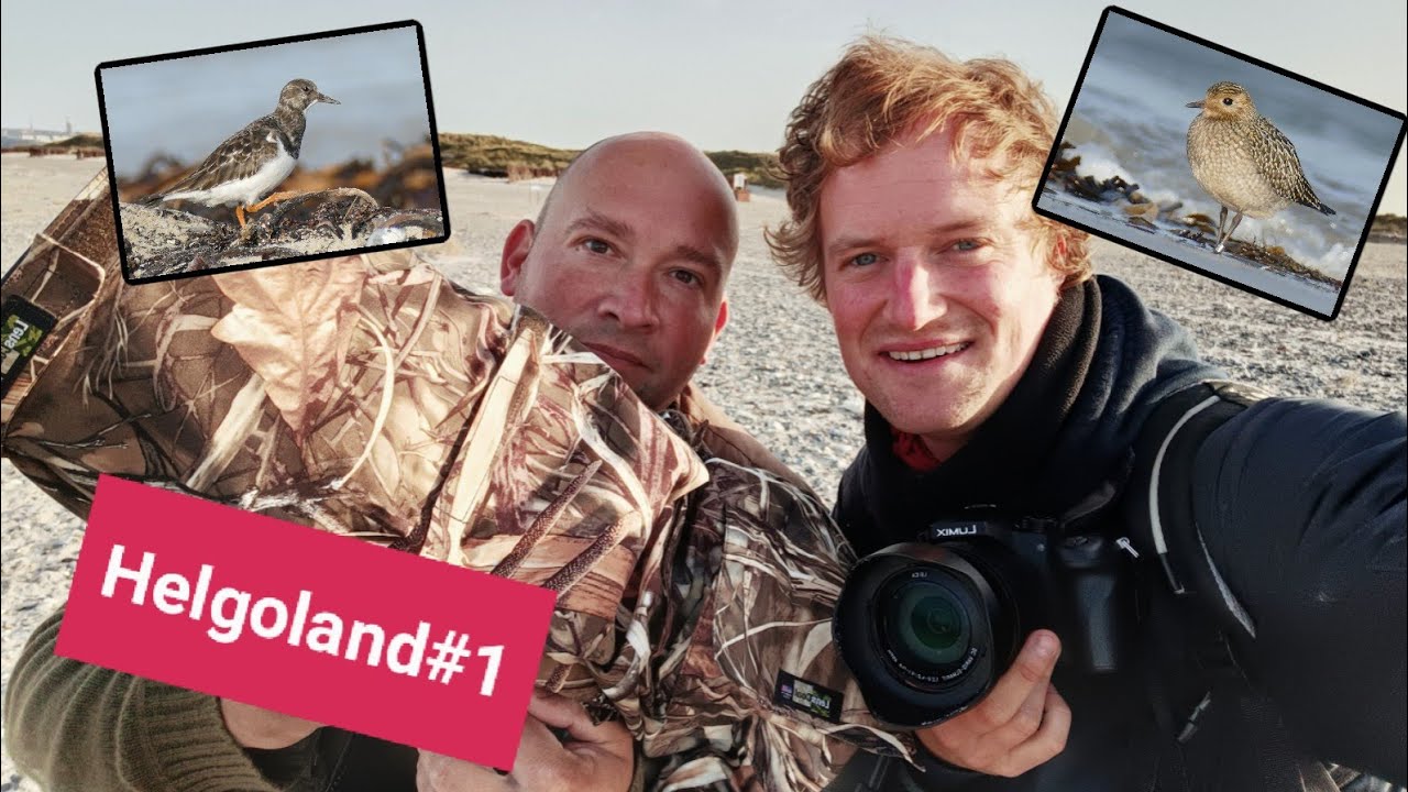 Zwei Bekloppte auf Foto-Tour (Helgoland#1)