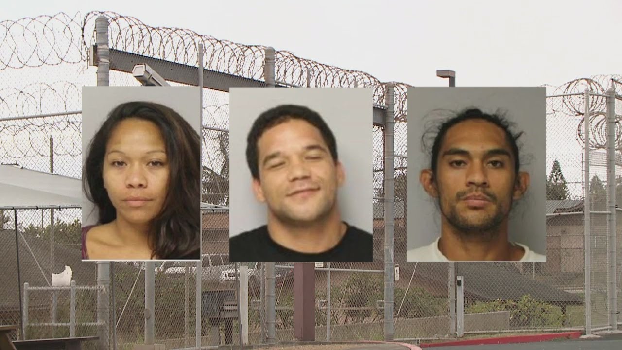 Suspects rob and attack 90-year-old woman