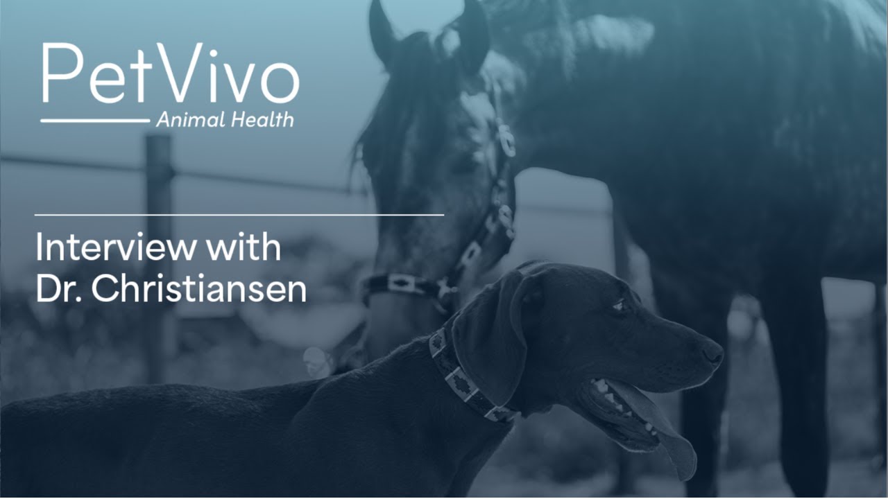 Inside Veterinary Surgery: Using Spryng, PRP & Stem Cells in Practice | Dr. Christiansen, DVM, DACVS