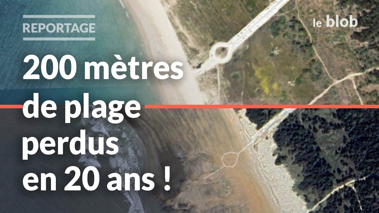 Comment les scientifiques mesurent la disparition des plages | Reportage sur l'île d'Oléron