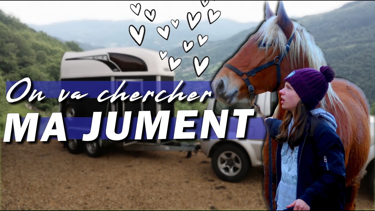 UN CHEVAL :  MON CADEAU DE NOËL