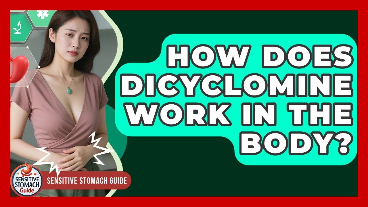 How Does Dicyclomine Work In The Body? - Sensitive Stomach Guide