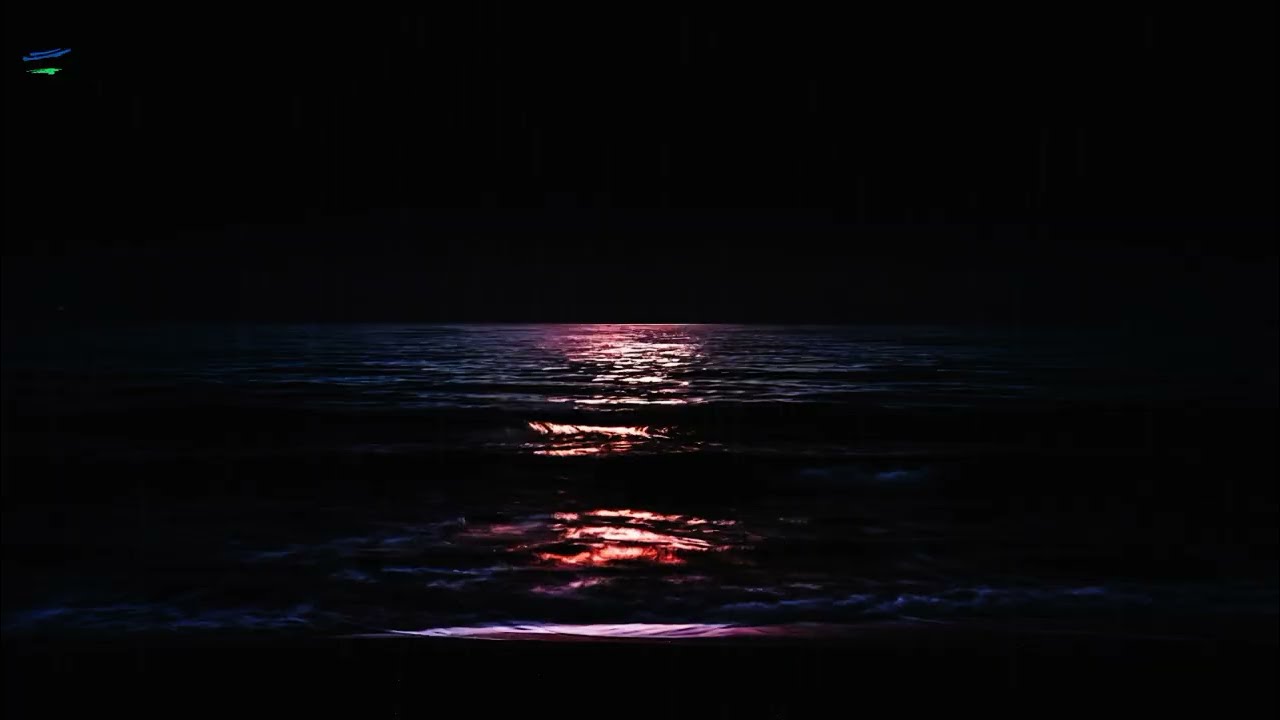Gentle Rain on a Silent Beach at Night 🌧 | Pure Rain Sounds for Deep Sleep (No Waves, Dark Screen)