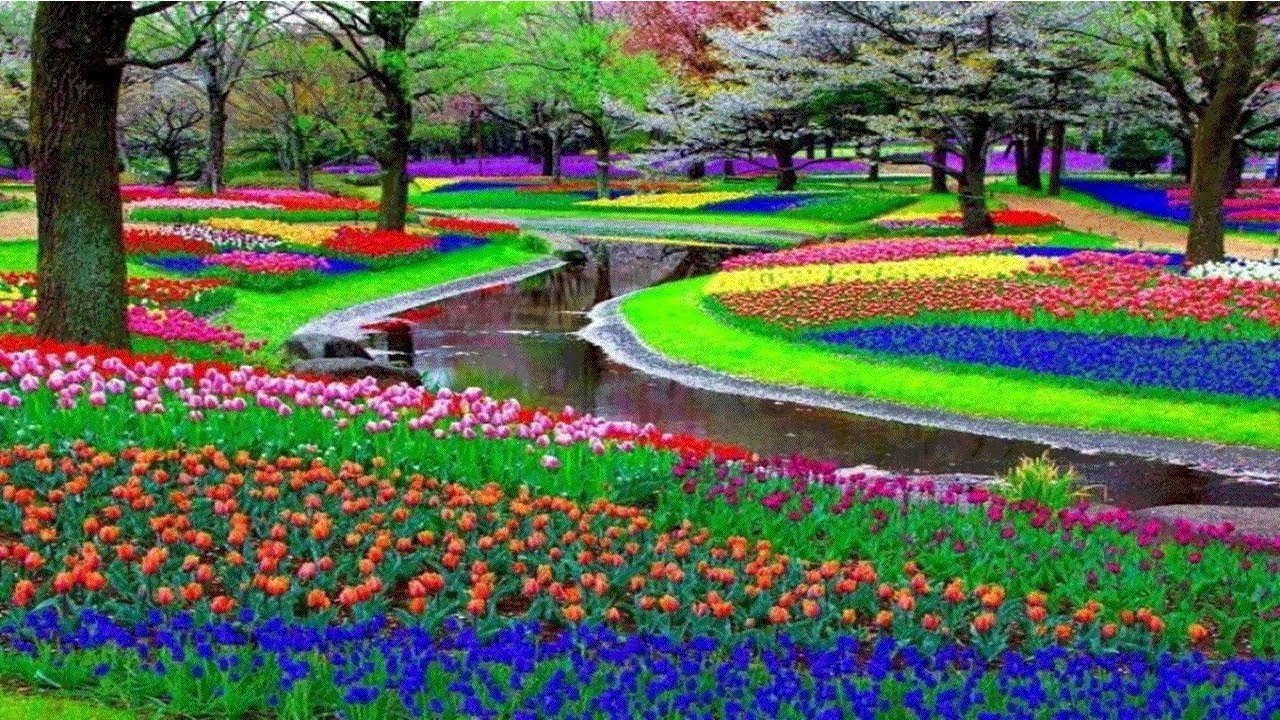 LOS JARDINES MÁS ESPECTACULARES QUE TUS OJOS PUEDAN VER