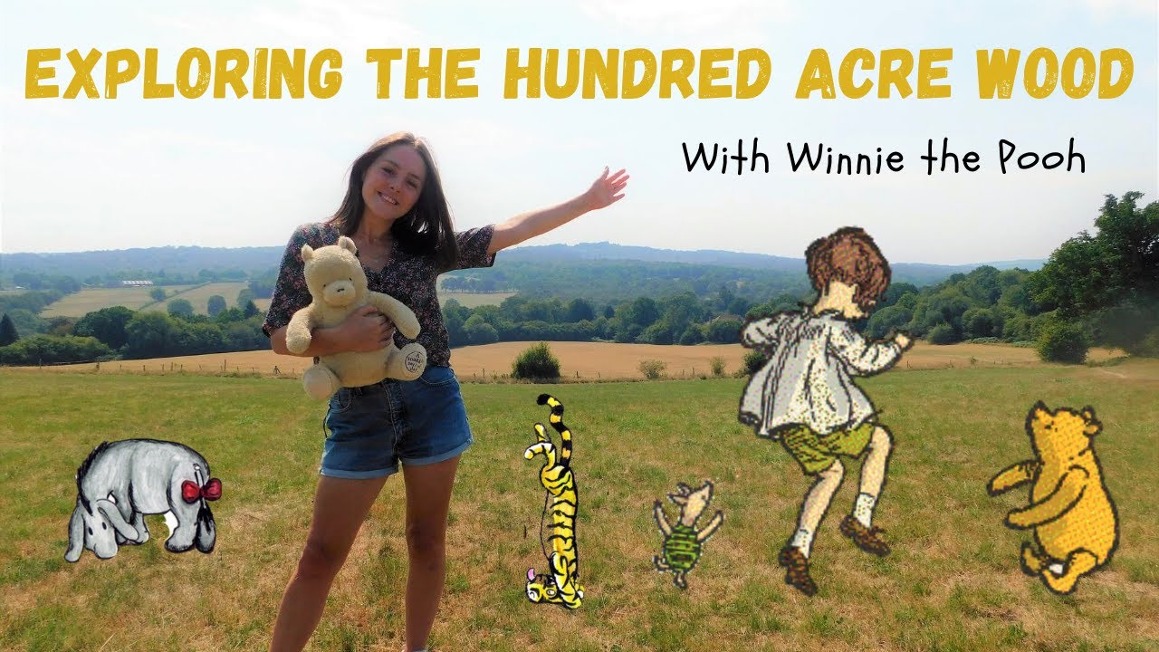Visiting Ashdown Forest with Winnie the Pooh!