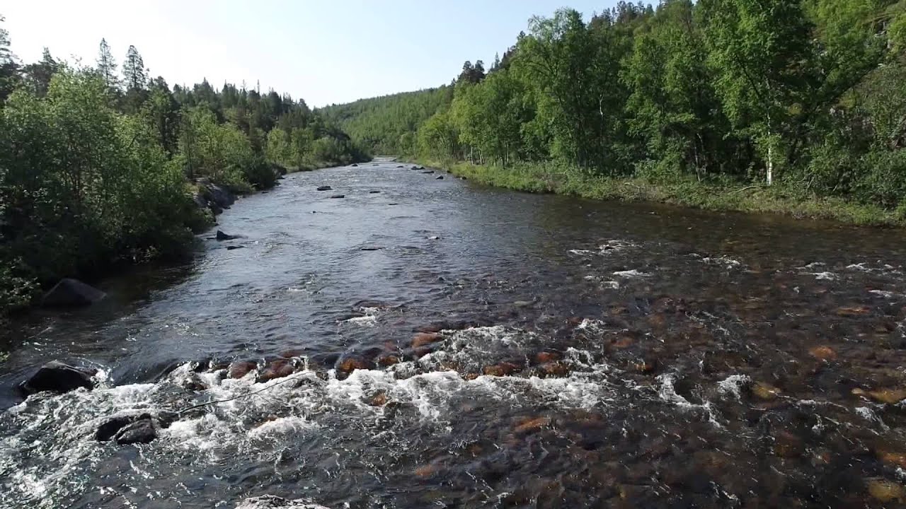 Tur til Øvre Dividal nasjonalpark Juli 2015