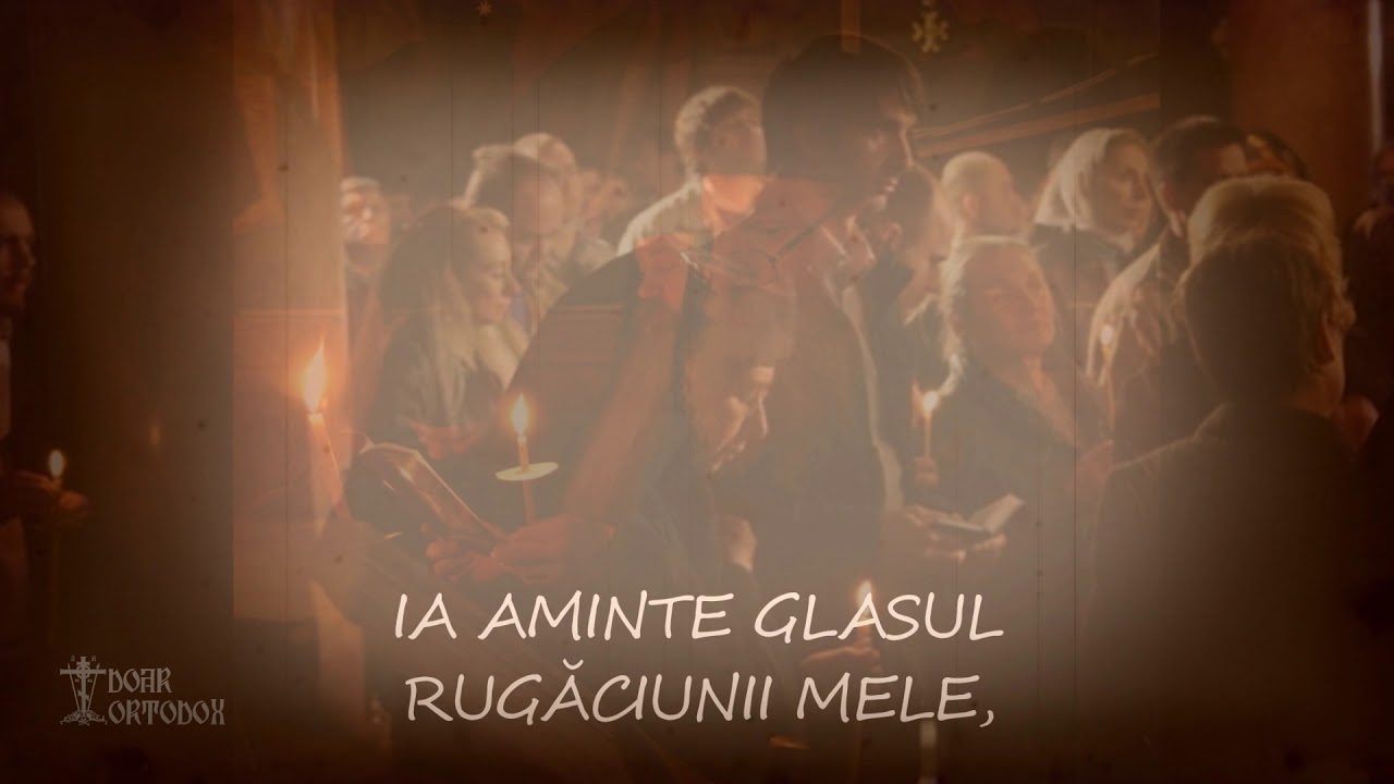 Doamne strigat-am către Tine, auzi-mă!
