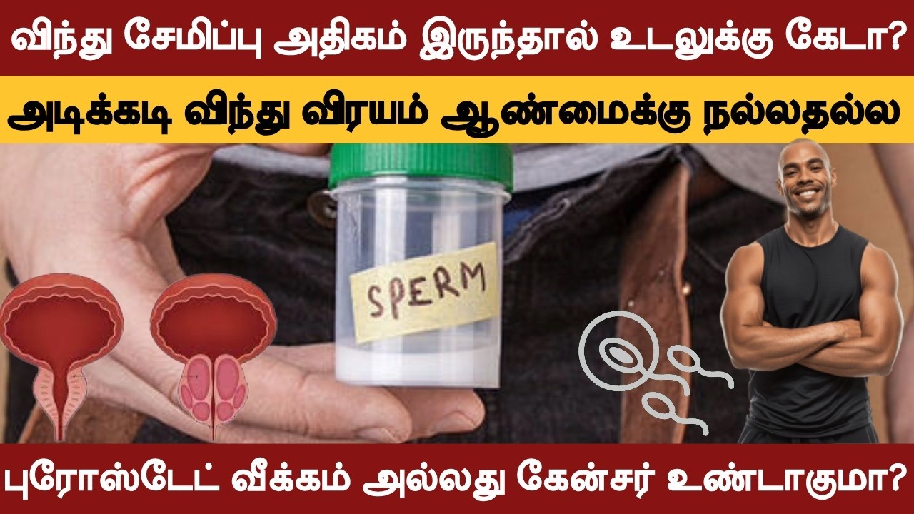 விந்து சேமிப்பு அதிகம் இருந்தால் உடலுக்கு கேடா? | அடிக்கடி விந்து விரயம் | புரோஸ்டேட் பாதிப்புகள்