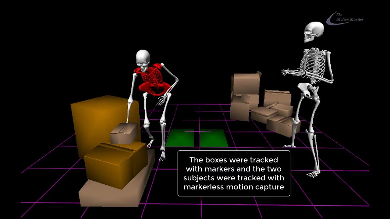 Markerless Motion Capture for Ergonomics