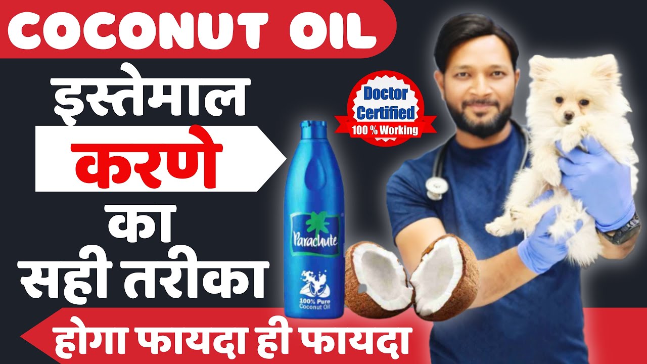Coconut Oil इस्तेमाल करने का सही तरीका | A Comprehensive Guide : Unlocking the Benefits in  Dogs