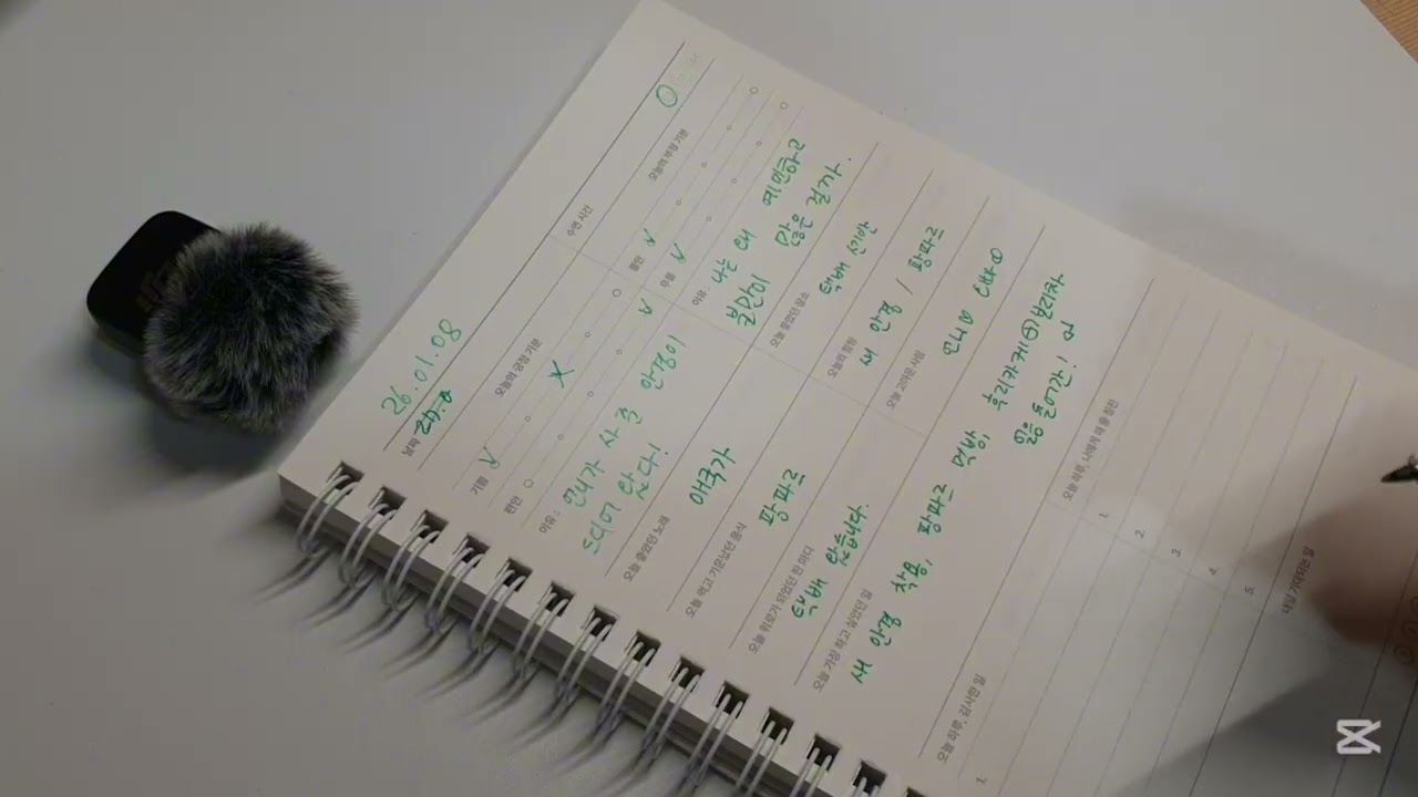 26.01.08 일기 #다이어리 #asmr