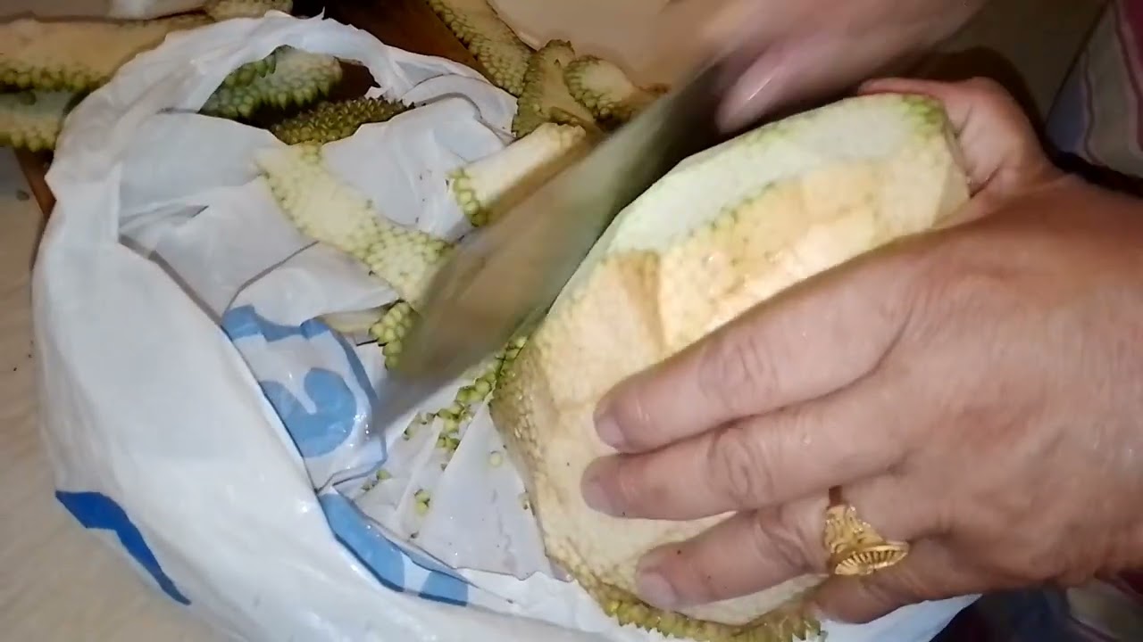 Paano magbalat ng langka ng hindi madagta? | Rose Rapista Vlog