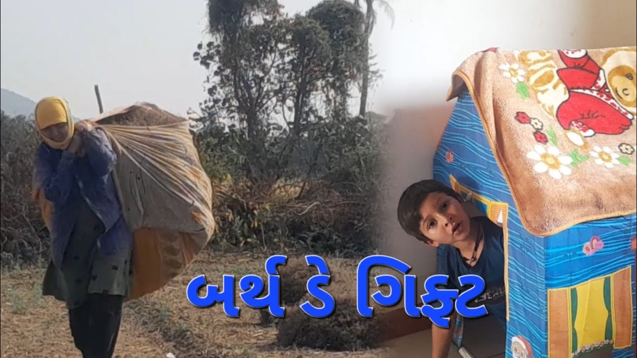 જીરુ ભેગું કરવાનું કામ ચાલુ