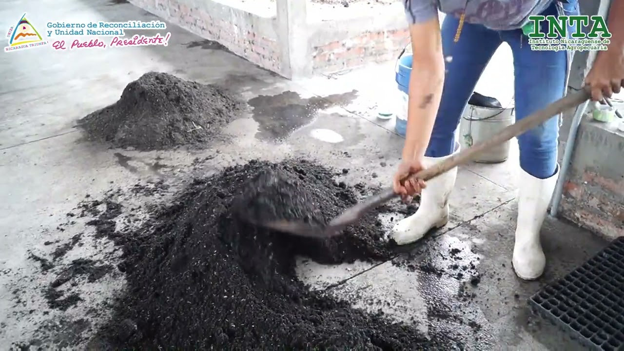 Sustrato artesanal con lombrihumus y cascarilla de arroz