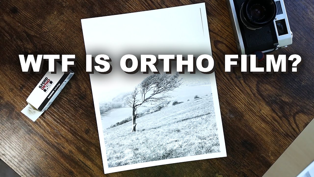 Ilford Ortho 80 was Surprising ... review, darkroom and SPECIAL GUEST