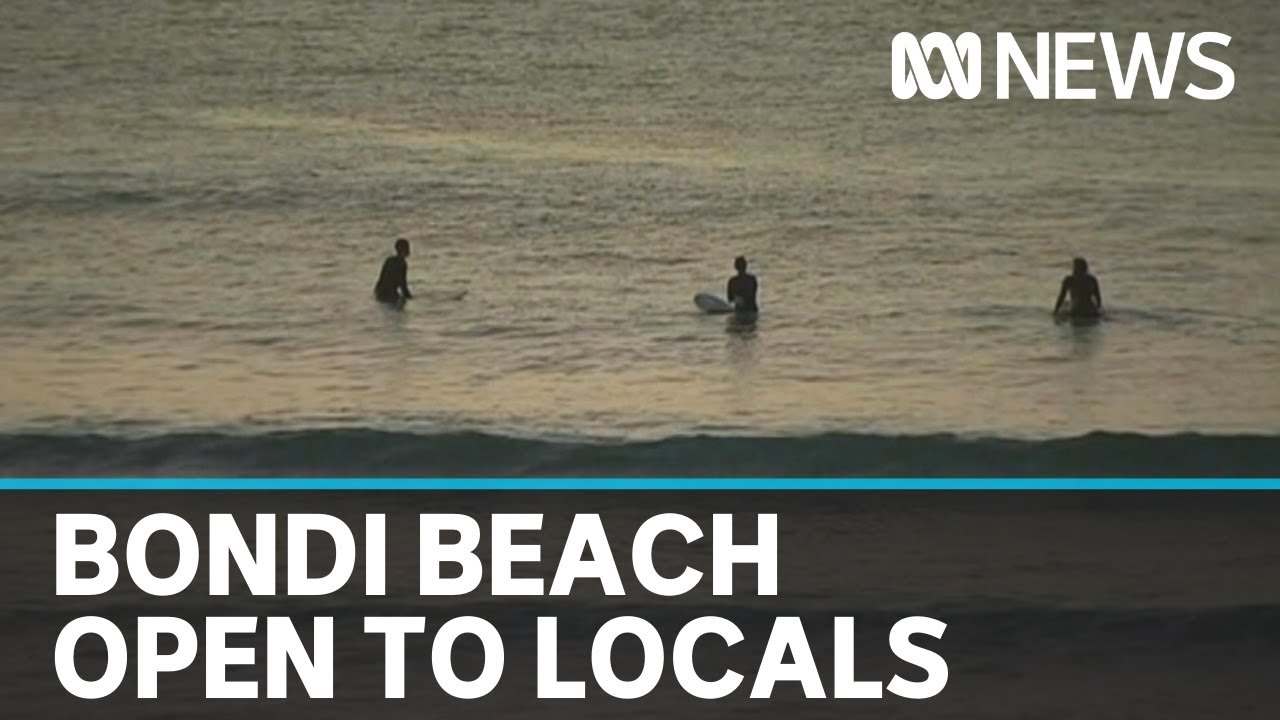 Bondi Beach re-opens after closing due to COVID-19 restrictions | ABC News