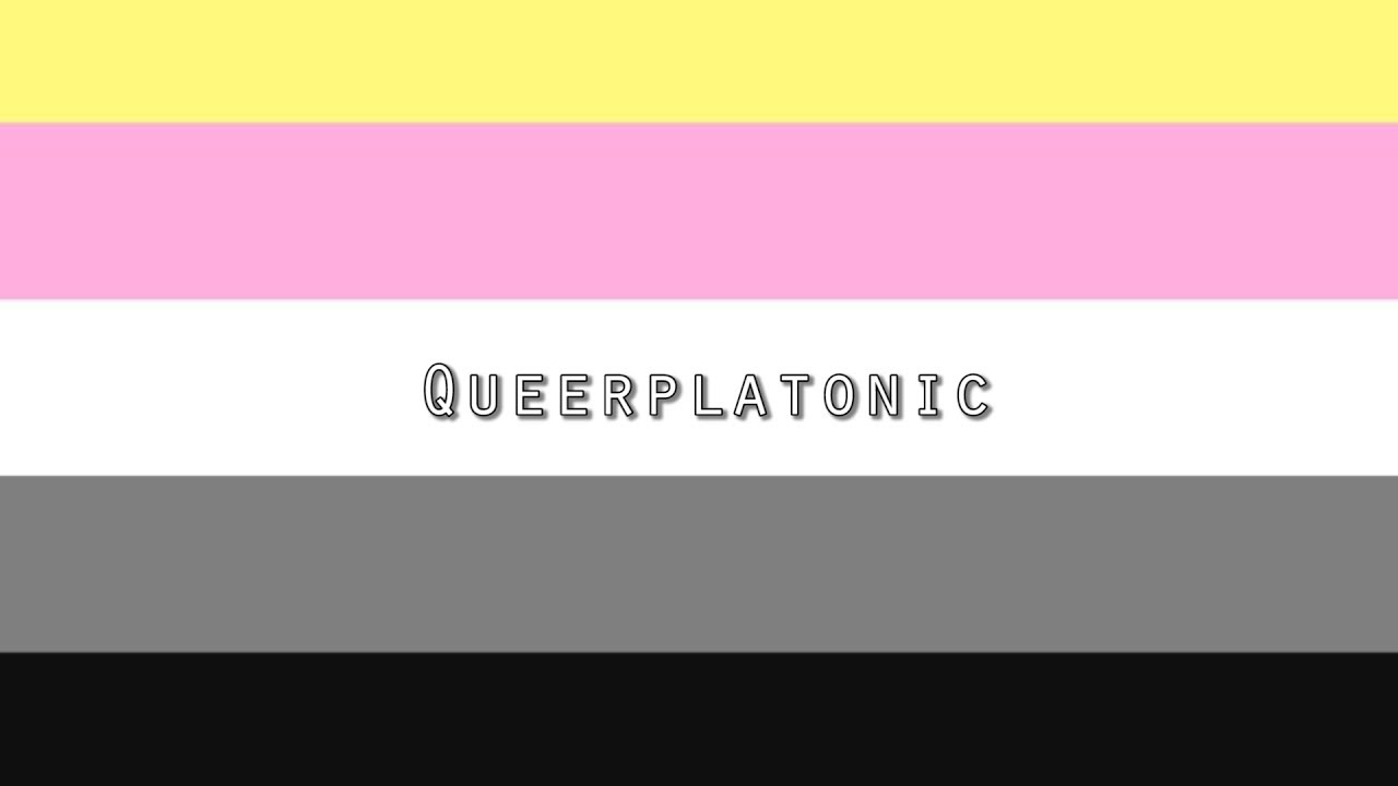 queerplatonic (Mini Documentary)