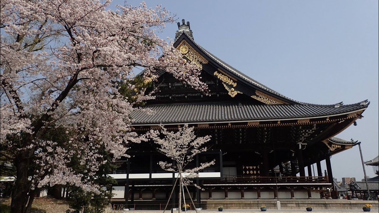 第二回　せっかくなので議会の事を聞いてみよう