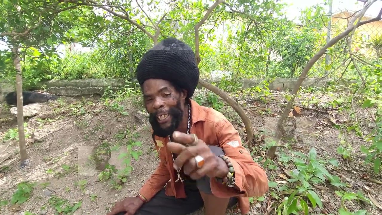 PEANUT DREAD... REPLAY ON THE HOLIDAY!! 😅😅🤣