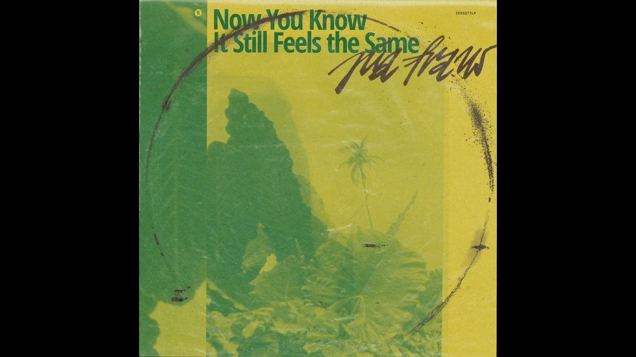 Pia Fraus - Wonderful Nothing