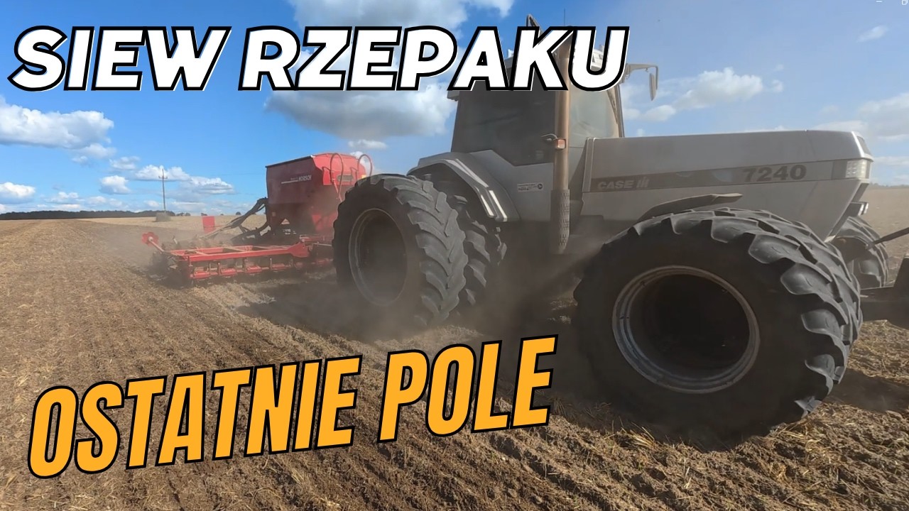 Rzepak posiany. Kolejne etapy przed nami.
