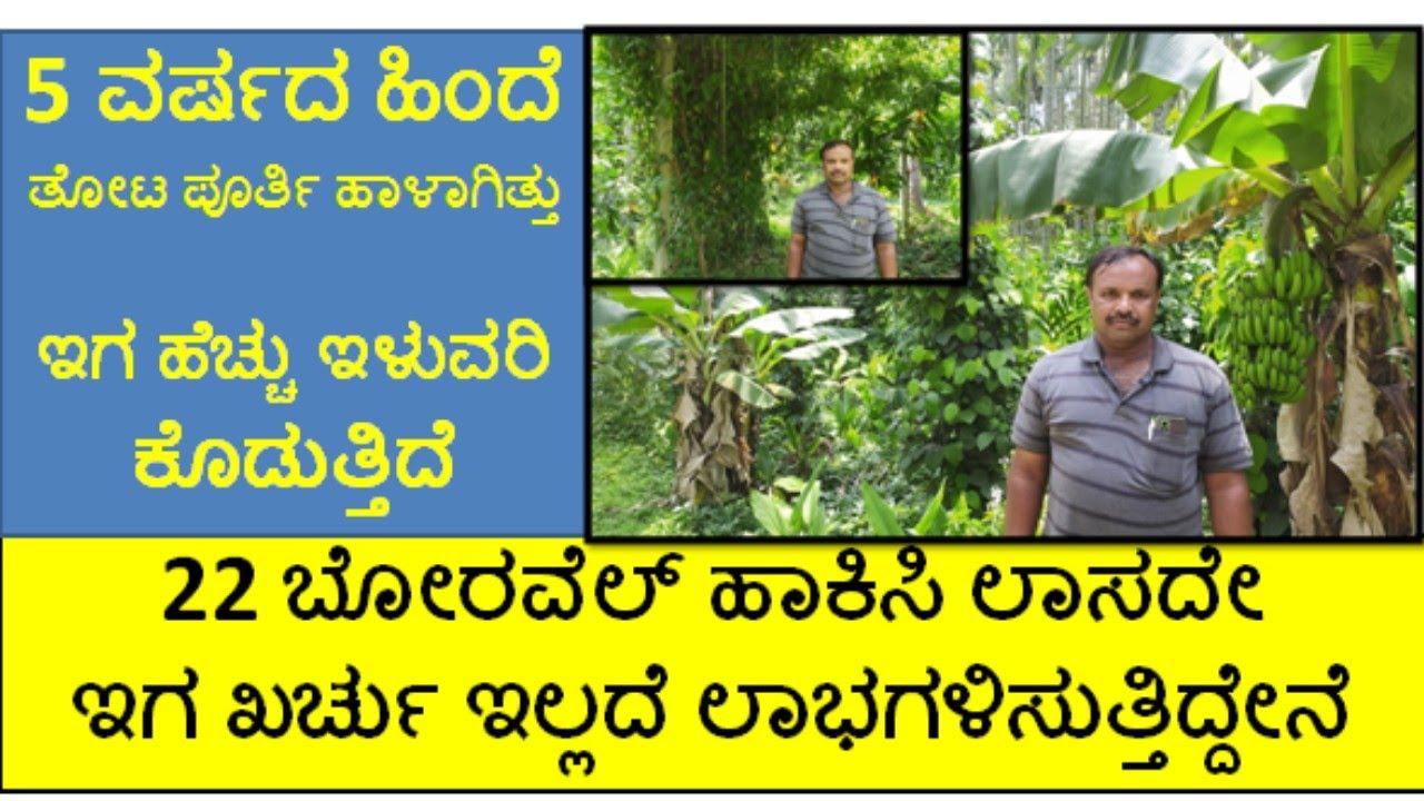 ಖರ್ಚು ಇಲ್ಲ ಅತೀ ಕಡಿಮೆ ನೀರಿನಲ್ಲಿ ಅಡಿಕೆ ತೋಟದಲ್ಲಿ 9 ಮಹಡಿ ಬೆಳೆಗಳನ್ನು ಬೆಳೆದಿದ್ದೇನೆ